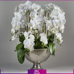 خرید آنلاین گلدان ارکیده دیزاین شده هدیه ای زیبا و جذاب (دو شاخه)