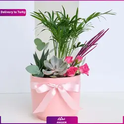 گلدان ارکیده سفید vip و لوکس 5 شاخه (ارسال گل به ترکیه) | انگور