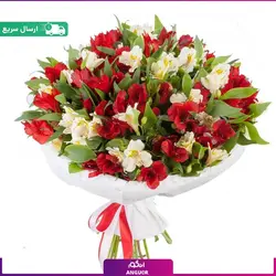 دسته گل آلسترومریا قرمز و سفید (30 شاخه) | انگور