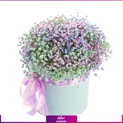 باکس گل ژیپسوفیلا رنگارنگ (گل عروس) | انگور