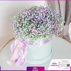 باکس گل ژیپسوفیلا رنگارنگ (گل عروس) | انگور