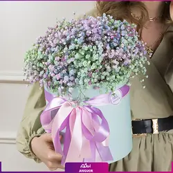 باکس گل ژیپسوفیلا رنگارنگ (گل عروس) | انگور