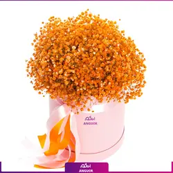 خرید آنلاین باکس گل ژیسوفیلا (گل عروس) | گلفروشی آنلاین انگور