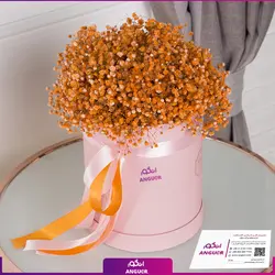 خرید آنلاین باکس گل ژیسوفیلا (گل عروس) | گلفروشی آنلاین انگور