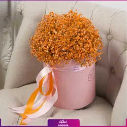 خرید آنلاین باکس گل ژیسوفیلا (گل عروس) | گلفروشی آنلاین انگور