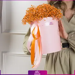 خرید آنلاین باکس گل ژیسوفیلا (گل عروس) | گلفروشی آنلاین انگور