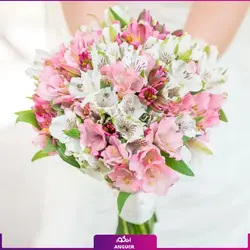 خرید آنلاین دسته گل آلسترومریا سفید (30 شاخه)