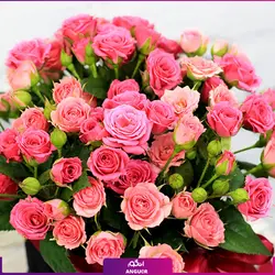 خرید آنلاین دسته گل ترکیبی رز مینیاتوری، ژربرا و داوودی | گلفروشی آنلاین انگور