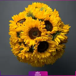 خرید آنلاین دسته گل آفتابگردان با گلدان شیشه ای (25 شاخه)