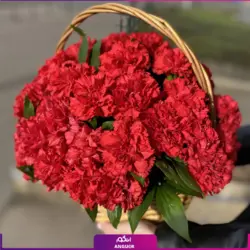 خرید اینترنتی سبد گل میخک قرمز | سایت انگور