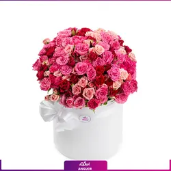 خرید آنلاین باکس گل رز مینیاتوری صورتی | گلفروشی آنلاین انگور