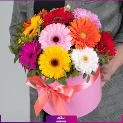 خرید آنلاین باکس گل ژربرا رنگارنگ | گلفروشی آنلاین انگور