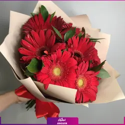 خرید آنلاین دسته گل ژربرا قرمزا | گلفروشی آنلاین انگور
