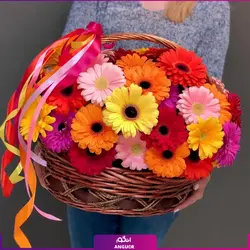 خرید آنلاین سبد گل ژربرا رنگارنگ | گلفروشی آنلاین انگور