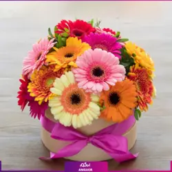 خرید آنلاین باکس گل رنگارنگ ژربرا | گلفروشی آنلاین انگور