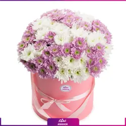 خرید آنلاین باکس گل داوودی صورتی و سفید | گلفروشی آنلاین انگور