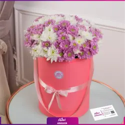 خرید آنلاین باکس گل داوودی صورتی و سفید | گلفروشی آنلاین انگور