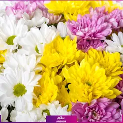 خرید آنلاین دسته گل داوودی | گلفروشی آنلاین انگور