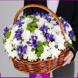 خرید انلاین سبد گل زنبق و داوودی | سایت آنلاین انگور