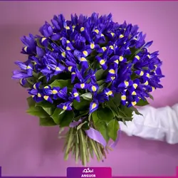 خرید انلاین دسته گل زنبق (45 عددی)، دسته گل | سایت آنلاین انگور