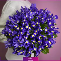 خرید انلاین دسته گل زنبق (45 عددی)، دسته گل | سایت آنلاین انگور