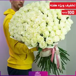 دسته گل 100 شاخه رز سفید 80 سانتی (رزهلندی درجه یک به قیمت درب گلخانه) | انگور