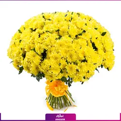 خرید آنلاین دسته گل داوودی زرد (150 عددی)| گلفروشی آنلاین انگور