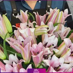 خرید آنلاین دسته گل لیلیوم صورتی | گلفروشی آنلاین انگور