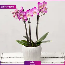 دسته گل کلاسیک با گلدان (ارسال گل به انگلستان) | انگور