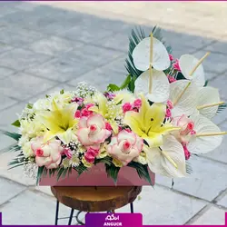 خرید اینترنتی باکس گل خواستگاری دلین | گلفروشی آنلاین انگور