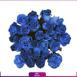 خرید آنلاین دسته گل رز آبی 25 شاخه 60 سانتی | گل فروشی آنلاین انگور