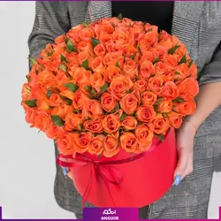 خرید آنلاین باکس گل رز نارنجی 101 شاخه | گل فروشی آنلاین انگور