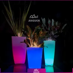 گلدان دکوراتیو نورانی '16 رنگ' همراه با سانسوریا سبز (170 - 190 سانتی) | انگور