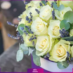 خرید آنلاین باکس گل رز سفید 35 شاخه 40 سانتی | گل فروشی آنلاین انگور