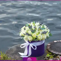 خرید آنلاین باکس گل رز سفید 35 شاخه 40 سانتی | گل فروشی آنلاین انگور