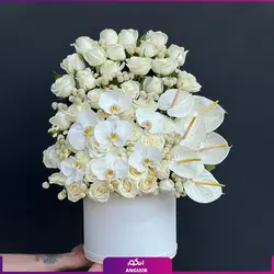 خرید آنلاین باکس گل رز صورتی 25 شاخه | گل فروشی آنلاین انگور