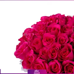 خرید آنلاین باکس گل رز صورتی 35 شاخه | گل فروشی آنلاین انگور