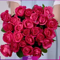 خرید آنلاین دسته گل رز صورتی 25 شاخه | گل فروشی آنلاین انگور