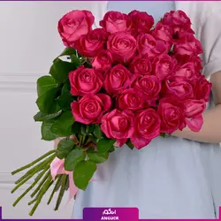 خرید آنلاین دسته گل رز صورتی 25 شاخه | گل فروشی آنلاین انگور