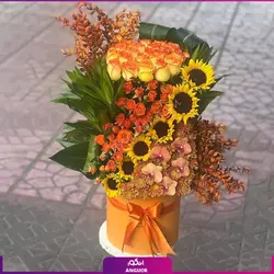 خرید آنلاین باکس گل رز صورتی 25 شاخه | گل فروشی آنلاین انگور