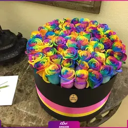 خرید آنلاین باکس گل رز هفت رنگ 53 شاخه | گل فروشی آنلاین انگور