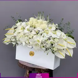 خرید آنلاین باکس گل ترحیم آنتوریوم، رز، ارکیده و... | گلفروشی آنلاین انگور