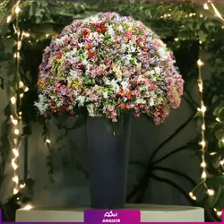 خرید آنلاین باکس گل آلسترومریا رنگارنگ غول پیکر | گل و گیاه انگور