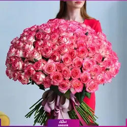 خرید آنلاین دسته گل رز لب صورتی 201 شاخه | گل فروشی آنلاین انگور