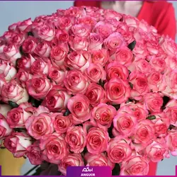 خرید آنلاین دسته گل رز لب صورتی 201 شاخه | گل فروشی آنلاین انگور