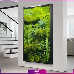 خرید + قیمت و عکس دیوار سبز خزه ای (ماس وال طبیعی تثبیت شده)