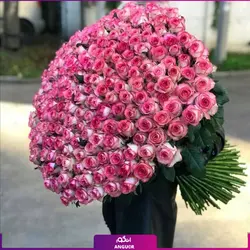 خرید آنلاین دسته گل رز لب صورتی 301 شاخه | گل فروشی انگور