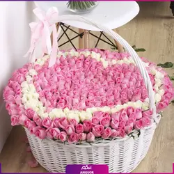 خرید آنلاین سبد گل رز صورتی 501 شاخه ای | گل فروشی آنلاین انگور