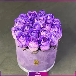 خرید آنلاین باکس گل رز بنفش 19 شاخه ای | گل فروشی آنلاین انگور