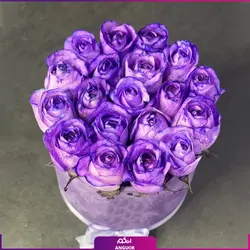 خرید آنلاین باکس گل رز بنفش 19 شاخه ای | گل فروشی آنلاین انگور